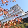 秋の絵画展IN鶴ヶ城