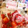 ◎青果コーナーより◎さくらんぼ🍒