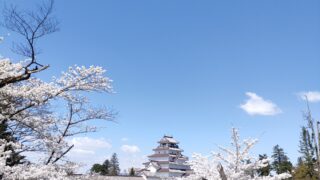 本日の鶴ヶ城(4/8)