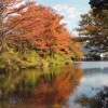 鶴ヶ城とその周囲の秋
