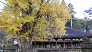 休日ドライブ♪会津リクエストの旅～出発♪