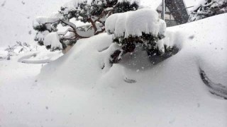 季節外れの大雪